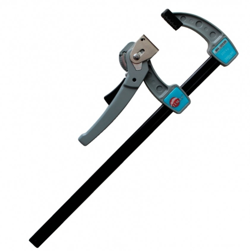 LEMAN - Presse De Serrage Puissant - Saillie 80 Section 20x5 Serrage 300kg 2 LEMAN - Presse De Serrage Puissant - Saillie 80 Section 20x5 Serrage 300kg – Image 2