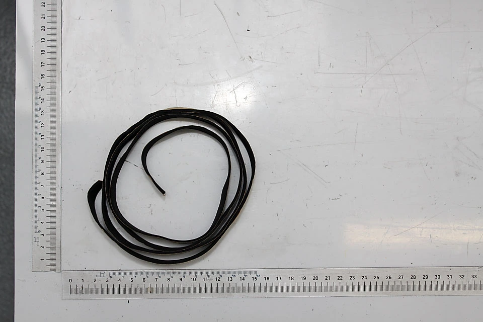 SCHEPPACH - Bande De Pare-éclats Pour Rail 1400 Mm De Scie Plongeante Scheppach, Kity Et Woodster 1 SCHEPPACH - Bande De Pare-éclats Pour Rail 1400 Mm De Scie Plongeante Scheppach, Kity Et Woodster