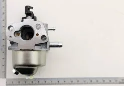 SCHEPPACH - Carburateur Complet Pour Tondeuse Et Motoculteur Scheppach, Woodster