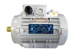 SCHEPPACH - Moteur 230V Monophasé 0.98 KW Pour Combiné Scheppach, Kity Et Woodster -Outillage Boutique SCHEPPACH Moteur 230V monophase 0 98 kW pour combine Sch